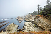 USA, Oregon, Coos Bay, Felsformationen entlang des Meeres an einem nebligen Tag