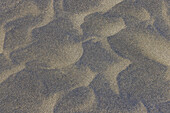 Wind sculpted patterns in beach sand 