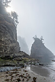 USA, Oregon, Brookings, Rocky coastline on misty day