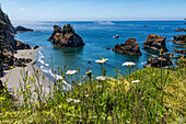 USA, Oregon, Brookings, View of rocks sticking out of sea