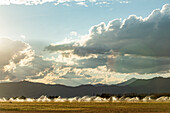 USA, Idaho, Bellevue, Bewässerungsanlage auf einem Feld bei Sonnenuntergang
