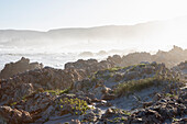 South Africa, Hermanus, Waves crashing against rocky coastline at Kammabaai Beach