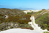 South Africa, Hermanus, Sandy footpath among bushes in Walker Bay Nature Reserve