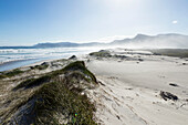 South Africa, Hermanus, Sandy beach in Walker Bay Nature Reserve