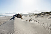 Sandstrand im Walker Bay Naturreservat