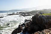 South Africa, Hermanus, Rocky coastline and sea at Kammabaai Beach