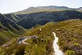Südafrika, Hermanus, Fußweg zwischen Hügeln im Fernkloof Nature Reserve