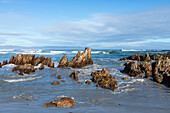 South Africa, Hermanus, Rocky coast and Kammabaai Beach at sunny day
