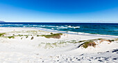 Blick auf Strand und Meer im Walker Bay Nature Reserve