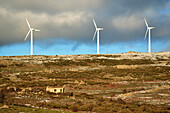 Windmills in La Lancha