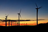 Windmills at sunset