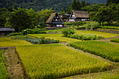 Gassho-zukuri-Dorf von Ainokura