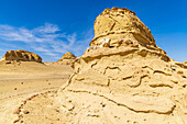 Wadi al Hitan, Faiyum, Egypt. Whale fossil on an eroded bluff along the interpretive trail at Wadi el-Hitan paleontological site.