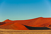 Rote Sanddünen vor einem strahlend blauen Himmel im Sossusvlei. Namib Naukluft Park, Namib-Wüste, Namibia.