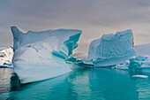 Skontorp-Bucht, Paradise Bay, Antarktis.