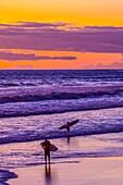 Das goldene Licht der untergehenden Sonne reflektiert einen goldenen Schimmer auf dem Strand von Pererenan Beach, Bali, Indonesien