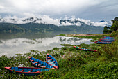 Asien, Nepal, Pokhara. Boote in den Seerosen auf dem Phewa-See.
