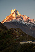 Asia, Nepal. Machapuchare Mountain from top of Mardi Himal Trek.