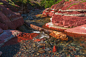 Canada, Alberta, Waterton Lakes National Park. Red Rock Creek in Red Rock Canyon.