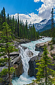Canada, Alberta, Banff National Park. Waterfall in Mistaya Canyon.