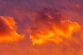 Canada, Manitoba, Winnipeg. Clouds lit at sunset.