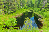 Canada, New Brunswick, Kouchibouguac National Park. Landscape with pond in springtime.