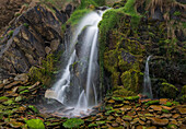 Irland, Ferriter's Cove. Nahaufnahme eines Wasserfalls und moosbewachsener Felsen.