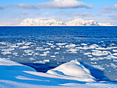 Küste mit Pfannkucheneis bei Kapp Linne am Fjord Isfjorden bei Isfjorden Radio, Insel Spitzbergen. Im Hintergrund die Berge des Nordre Isfjorden National Park. Arktis, Skandinavien, Norwegen, Svalbard