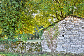 Spanien, Galicien. Landschaft in Galicien zwischen Vilei und Morgade