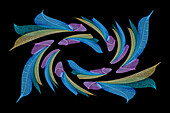 Multi-colored skeleton leaves arranged on black background