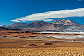 Eine Landschaft in den chilenischen Anden und der Salzwüste Salar de Talar auf einer Höhe von 4.000 Metern über dem Meeresspiegel. Salar de Talar, Atacamawüste, Region Antofagasta, Chile.