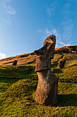Moai statue at Rano Raraku. Rapa Nui, Easter island, Chile