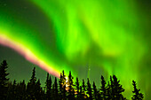 USA, Alaska, Chena Hot Springs Resort. Aurora borealis fills night sky.