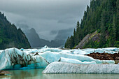 USA, Alaska, Tongass National Forest. Icebergs in Shakes Lake.