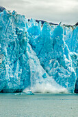 USA, Alaska, Tongass National Forest. Dawes Glacier calving in Endicott Arm water.