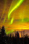 USA, Alaska, Fairbanks. Aurora borealis and tree silhouettes at sunset.