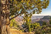 USA, Arizona, Grand-Canyon-Nationalpark. Landschaft vom North Rim des Bright Angel Point.