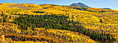 USA, Colorado, White River National Forest. Panoramablick