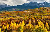 USA, Colorado. Panoramic of San Juan Mountains and valley forest in autumn.