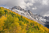 USA, Colorado, Uncompahgre National Forest. San Juan Mountains and aspen forest in autumn.