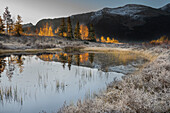 USA, Colorado, Uncompahgre National Forest. Pond reflections on frosty sunrise.