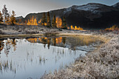 USA, Colorado, Uncompahgre-Nationalforst. Teichreflexionen bei frostigem Sonnenaufgang.