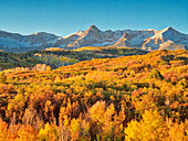 USA, Colorado, Quray. Dallas Divide, sunrise on the Mt. Snaffles with autumn colors