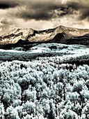 USA, Colorado. Infrarot von Espen mit Bergkette im Neuschnee
