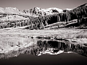 USA, Colorado. Infrarot von Espenbäumen, die sich in einem kleinen Fluss spiegeln