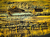 USA, Colorado. Infrared of old barn along Last Dollar Road