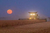Mähdrescher bei der Sojabohnenernte bei aufgehendem Vollmond (Erntemond), Marion County, Illinois. (Nur für redaktionelle Zwecke)
