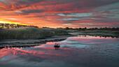 USA, New Jersey, Cape May National Seashore. Sunrise on marsh.