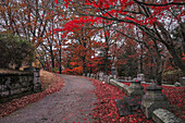 USA, Sleepy Hollow. Sleepy Hollow-Friedhof. (PR)