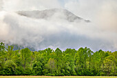 Im Morgennebel aufsteigender Berggipfel, Oconaluftee Mountain Farm Museum, Great Smoky Mountains National Park, North Carolina